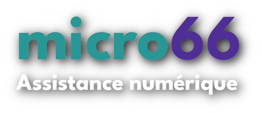 micro66